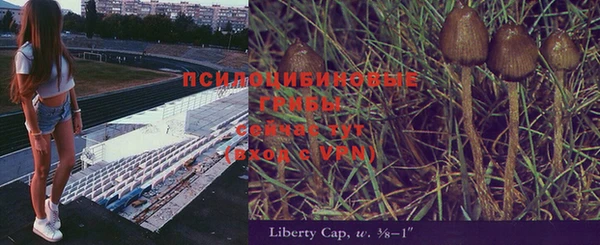 марки lsd Абаза
