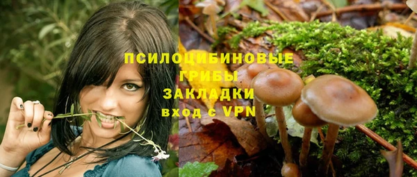 марки lsd Абаза