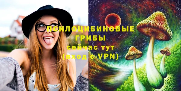 марки lsd Абаза