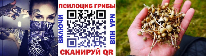 купить   Нариманов  Галлюциногенные грибы мицелий 